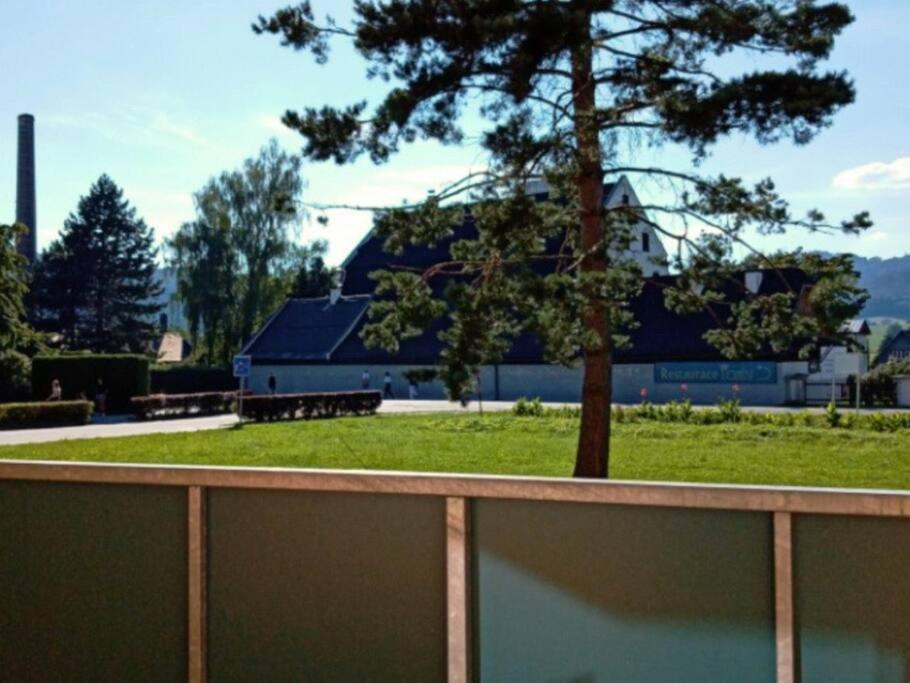 Ubytovani Velke Losiny - U Papirny Exterior foto
