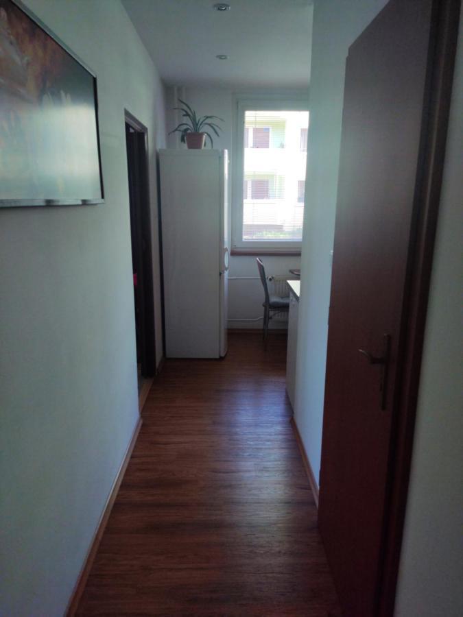 Ubytovani Velke Losiny - U Papirny Exterior foto